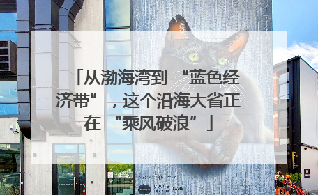 从渤海湾到 “蓝色经济带”，这个沿海大省正在 “乘风破浪”