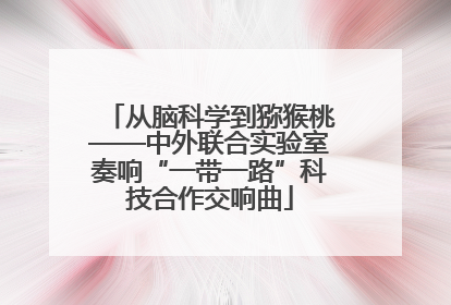 从脑科学到猕猴桃——中外联合实验室奏响“一带一路”科技合作交响曲