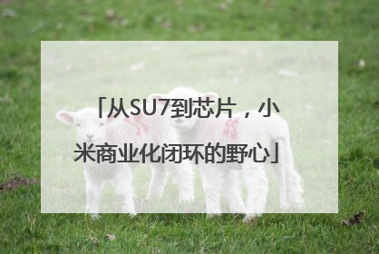从SU7到芯片，小米商业化闭环的野心