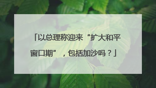 以总理称迎来“扩大和平窗口期”，包括加沙吗？