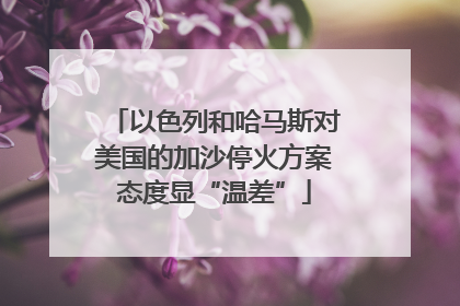 以色列和哈马斯对美国的加沙停火方案态度显“温差”