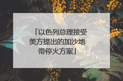 以色列总理接受美方提出的加沙地带停火方案