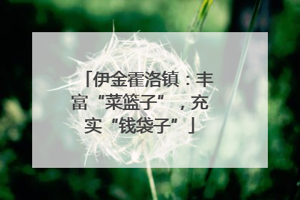 伊金霍洛镇：丰富“菜篮子”，充实“钱袋子”