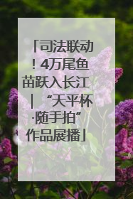 司法联动！4万尾鱼苗跃入长江｜“天平杯·随手拍”作品展播