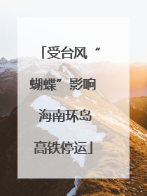 受台风“蝴蝶”影响 海南环岛高铁停运