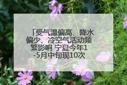 受气温偏高、降水偏少、冷空气活动频繁影响 宁夏今年1-5月中旬现10次定级沙尘天气过程