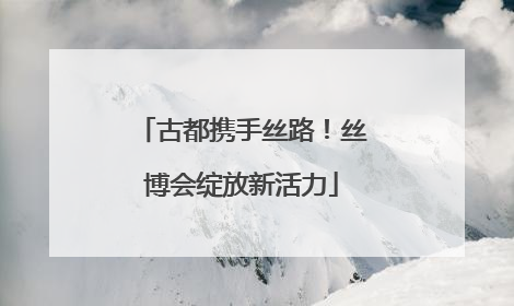 古都携手丝路！丝博会绽放新活力