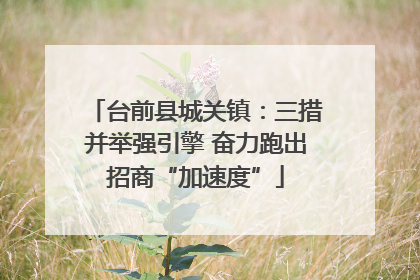台前县城关镇：三措并举强引擎 奋力跑出招商“加速度”