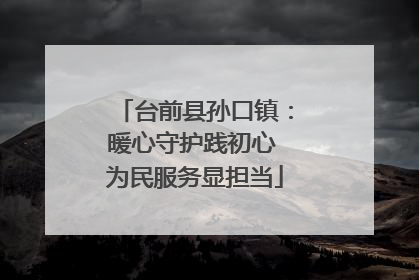 台前县孙口镇：暖心守护践初心 为民服务显担当