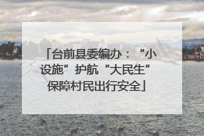 台前县委编办：“小设施”护航“大民生” 保障村民出行安全