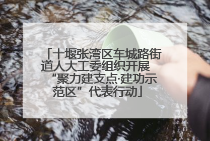 十堰张湾区车城路街道人大工委组织开展 “聚力建支点·建功示范区”代表行动