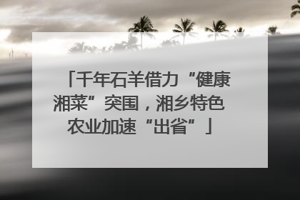 千年石羊借力“健康湘菜”突围，湘乡特色农业加速“出省”