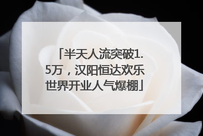 半天人流突破1.5万，汉阳恒达欢乐世界开业人气爆棚