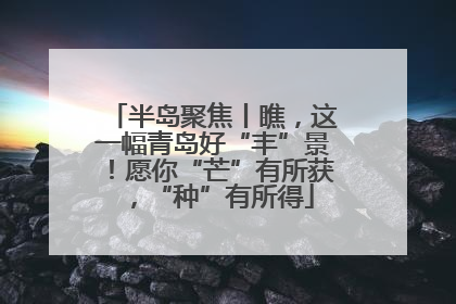 半岛聚焦丨瞧，这一幅青岛好“丰”景！愿你“芒”有所获，“种”有所得