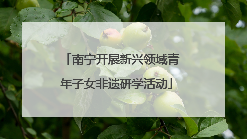 南宁开展新兴领域青年子女非遗研学活动