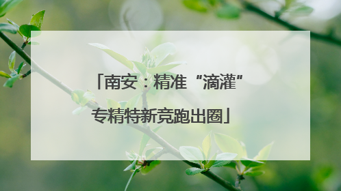 南安：精准“滴灌”专精特新竞跑出圈