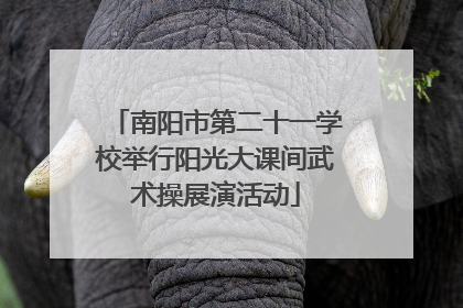 南阳市第二十一学校举行阳光大课间武术操展演活动