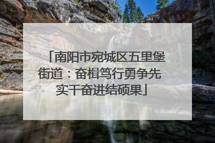 南阳市宛城区五里堡街道：奋楫笃行勇争先 实干奋进结硕果