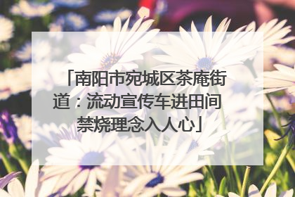 南阳市宛城区茶庵街道：流动宣传车进田间 禁烧理念入人心