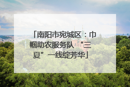 南阳市宛城区：巾帼助农服务队 “三夏”一线绽芳华