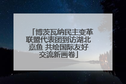 博茨瓦纳民主变革联盟代表团到访湖北嘉鱼 共绘国际友好交流新画卷