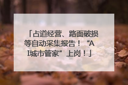 占道经营、路面破损等自动采集报告！“AI城市管家”上岗！