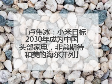 卢伟冰：小米目标2030年成为中国头部家电，非常期待和美的海尔并列