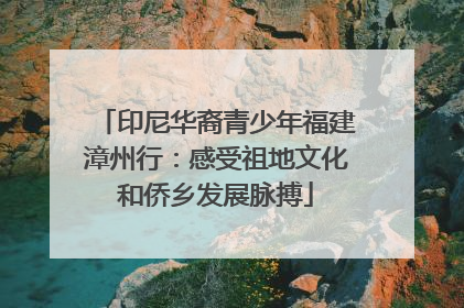 印尼华裔青少年福建漳州行：感受祖地文化和侨乡发展脉搏