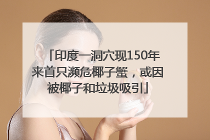 印度一洞穴现150年来首只濒危椰子蟹，或因被椰子和垃圾吸引