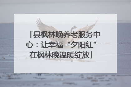 县枫林晚养老服务中心：让幸福“夕阳红”在枫林晚温暖绽放