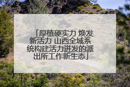 厚植硬实力 焕发新活力 山西全域系统构建活力迸发的派出所工作新生态