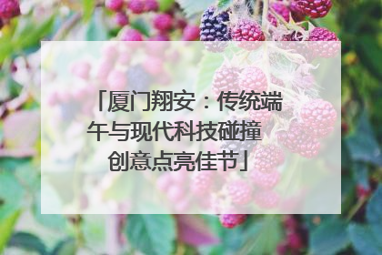 厦门翔安：传统端午与现代科技碰撞 创意点亮佳节