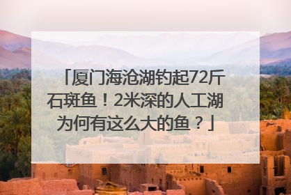 厦门海沧湖钓起72斤石斑鱼！2米深的人工湖为何有这么大的鱼？