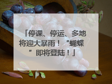 停课、停运、多地将迎大暴雨！“蝴蝶”即将登陆！