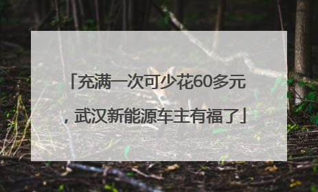 充满一次可少花60多元，武汉新能源车主有福了
