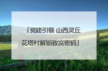 党建引领 山西灵丘花塔村解锁致富密码