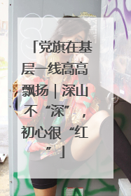 党旗在基层一线高高飘扬｜深山不“深”，初心很“红”