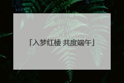入梦红楼 共度端午