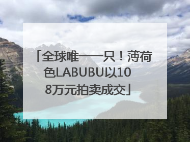 全球唯一一只！薄荷色LABUBU以108万元拍卖成交
