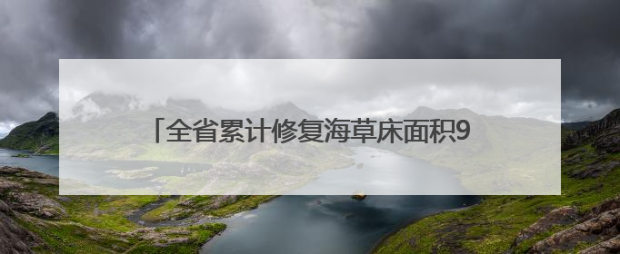 全省累计修复海草床面积938公顷 守护“海底草原”，织密海底生态“一张网”