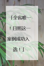 全省唯一！日照这一案例成功入选！