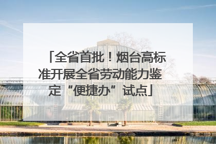 全省首批！烟台高标准开展全省劳动能力鉴定“便捷办”试点