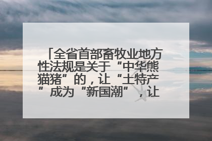 全省首部畜牧业地方性法规是关于“中华熊猫猪”的，让“土特产”成为“新国潮”，让“农产品”升格为“城市IP”