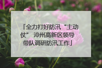 全力打好防汛“主动仗” 漳州高新区领导带队调研防汛工作