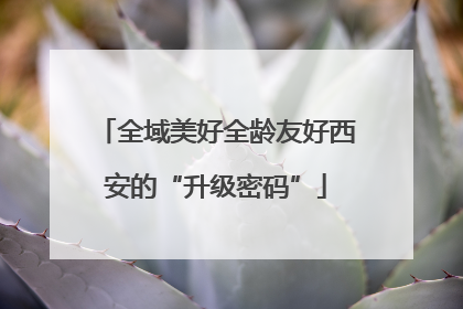 全域美好全龄友好西安的“升级密码”