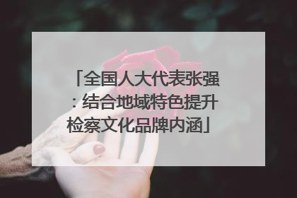 全国人大代表张强：结合地域特色提升检察文化品牌内涵