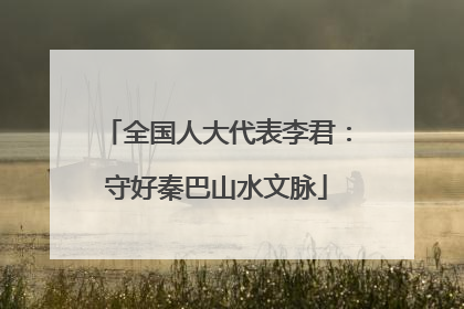 全国人大代表李君：守好秦巴山水文脉