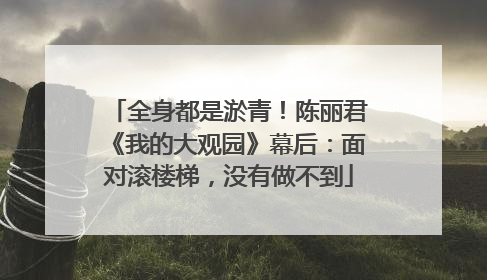 全身都是淤青！陈丽君《我的大观园》幕后：面对滚楼梯，没有做不到
