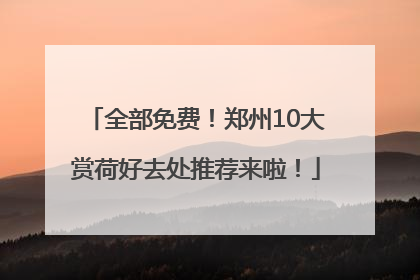 全部免费！郑州10大赏荷好去处推荐来啦！