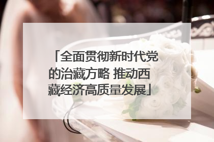 全面贯彻新时代党的治藏方略 推动西藏经济高质量发展